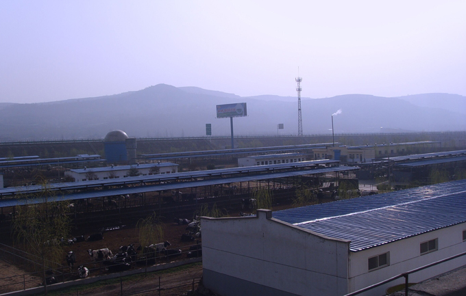 ʨ�ӻ� - ������ɫ��Ϸ����