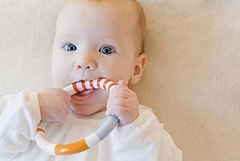 ʨ�ӻ� - ������ɫ��Ϸ����